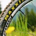 Peaty's Tubeless Valves (pair) - 60mm - Black Valve / Black Cores